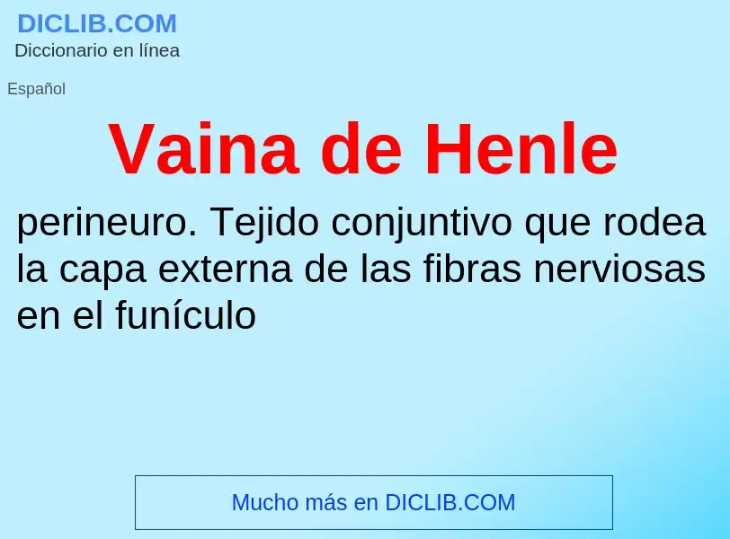 ¿Qué es Vaina de Henle? - significado y definición