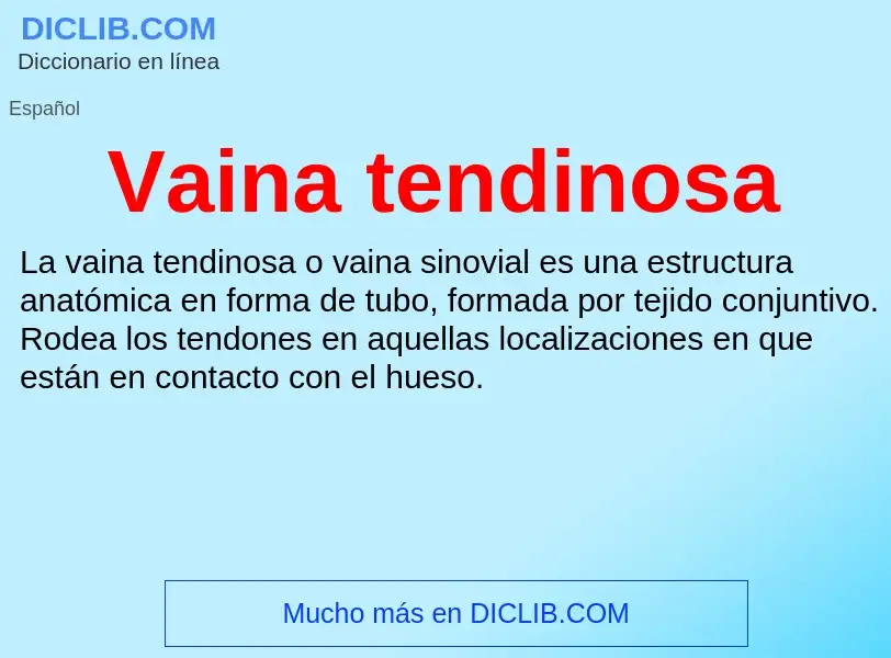 ¿Qué es Vaina tendinosa? - significado y definición