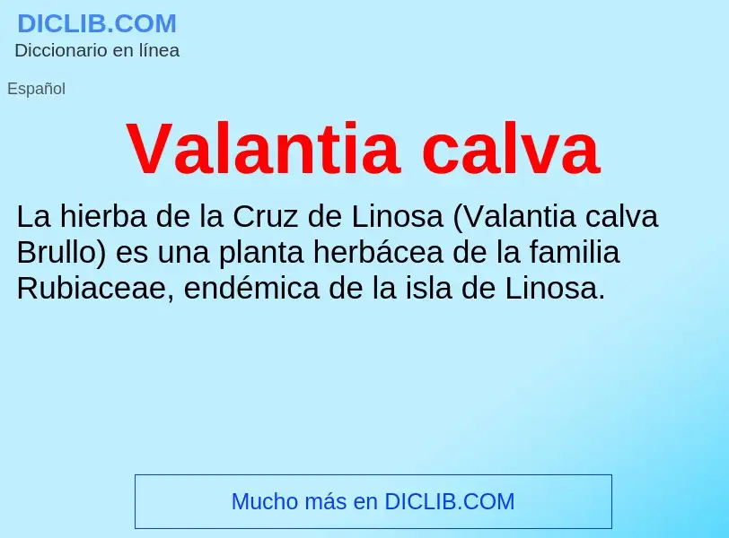 What is Valantia calva - meaning and definition