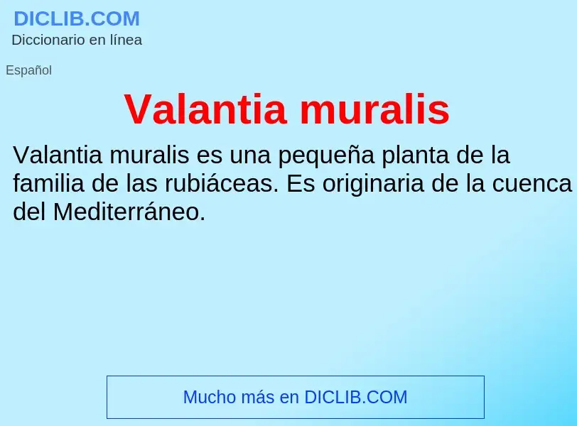 What is Valantia muralis - meaning and definition