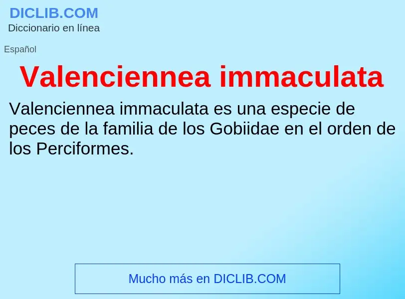 What is Valenciennea immaculata - meaning and definition