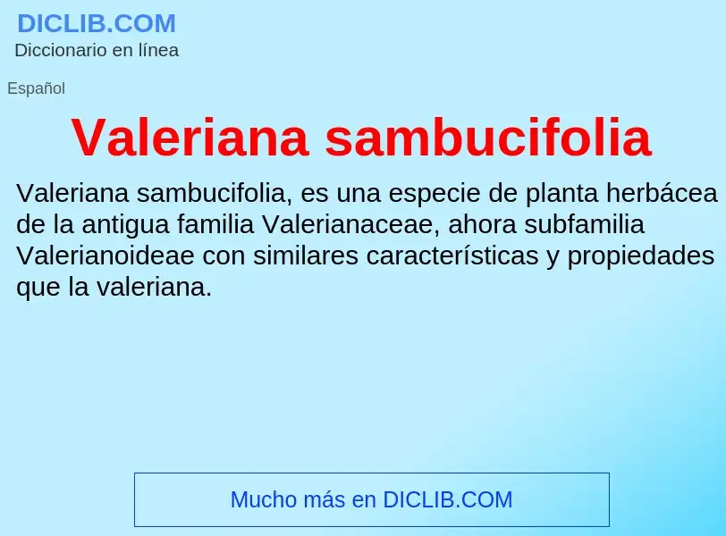 What is Valeriana sambucifolia - meaning and definition