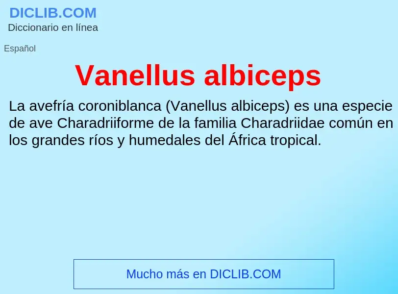 O que é Vanellus albiceps - definição, significado, conceito