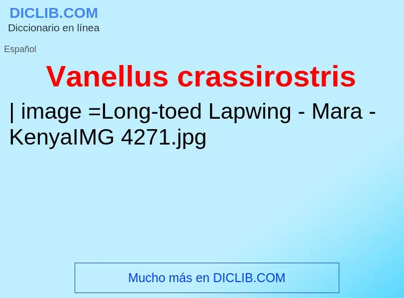 What is Vanellus crassirostris - meaning and definition