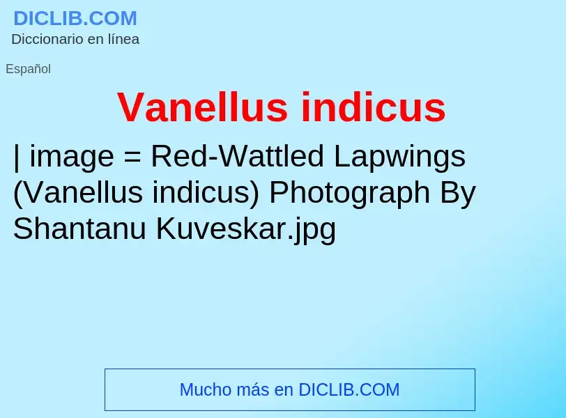 What is Vanellus indicus - meaning and definition