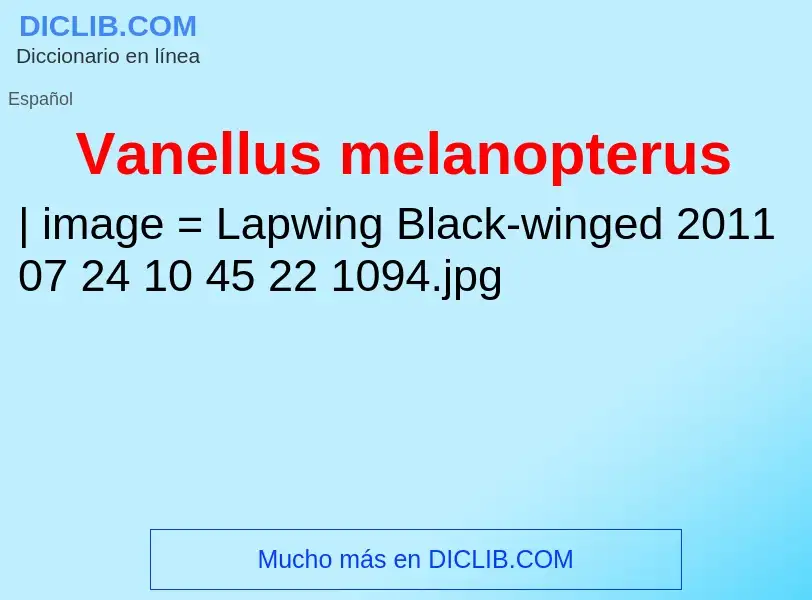 What is Vanellus melanopterus - meaning and definition