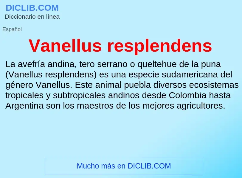 What is Vanellus resplendens - meaning and definition