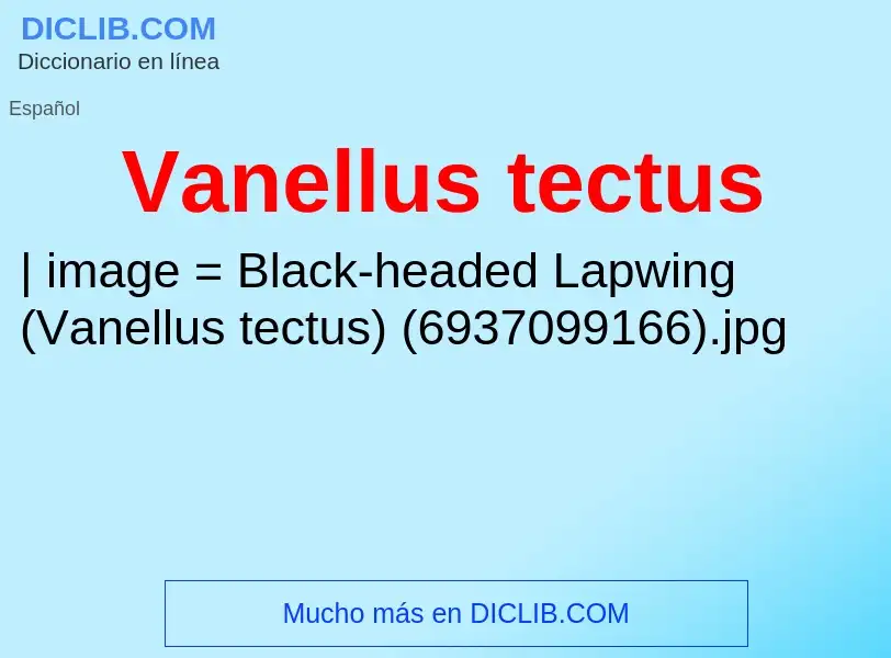 What is Vanellus tectus - meaning and definition