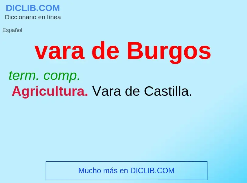 Was ist vara de Burgos - Definition