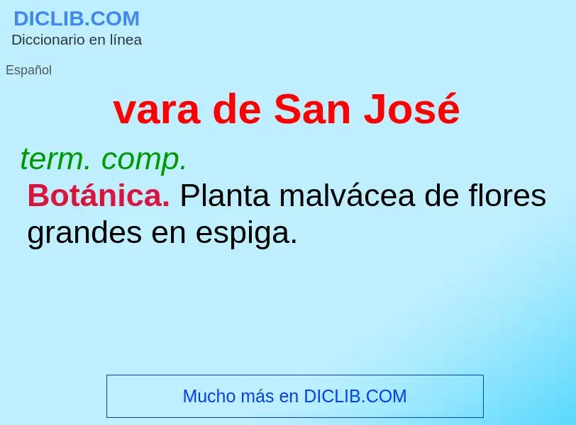 Was ist vara de San José - Definition