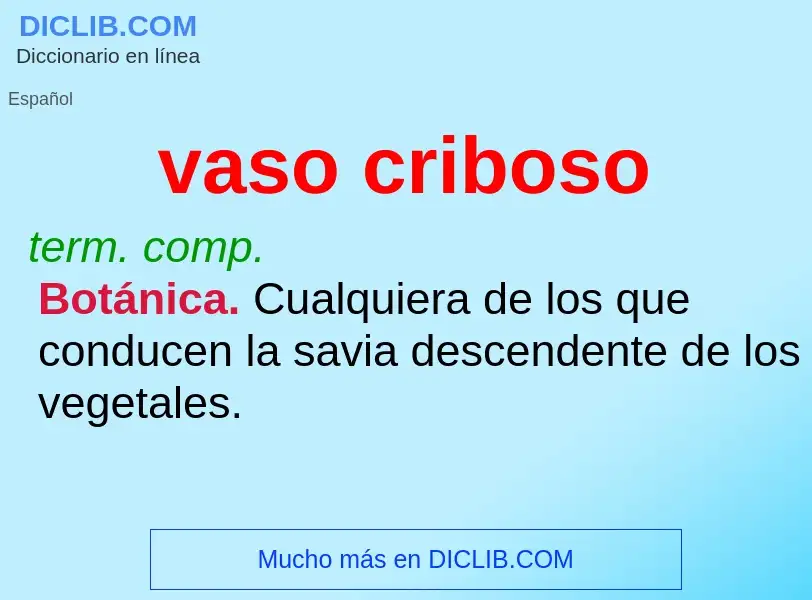 O que é vaso criboso - definição, significado, conceito