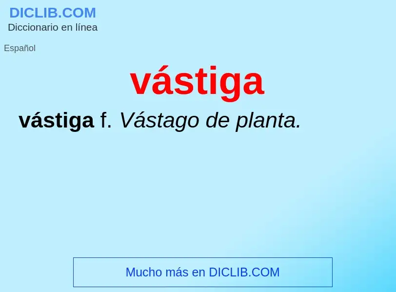 Wat is vástiga - definition