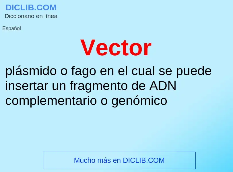 What is Vector - meaning and definition