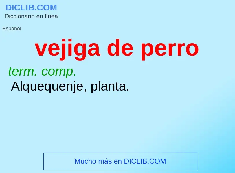 O que é vejiga de perro - definição, significado, conceito