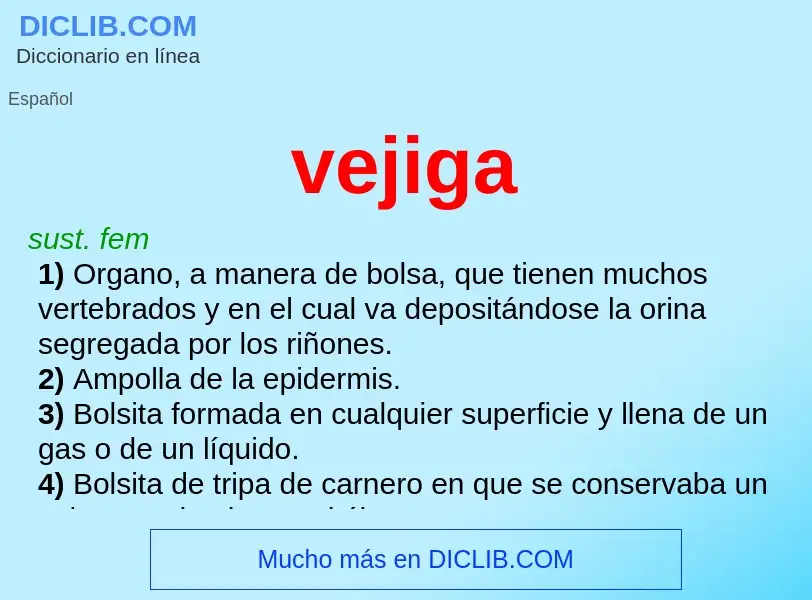 O que é vejiga - definição, significado, conceito