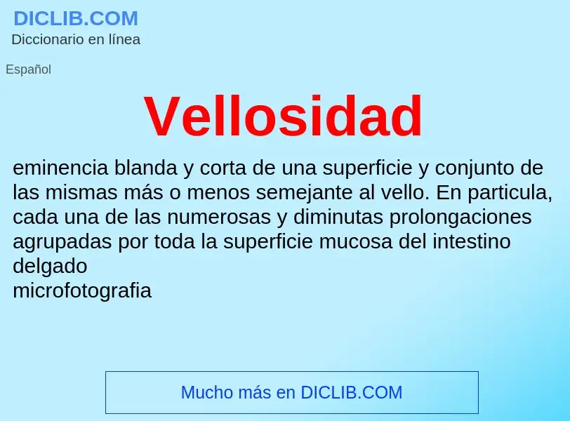 ¿Qué es Vellosidad? - significado y definición