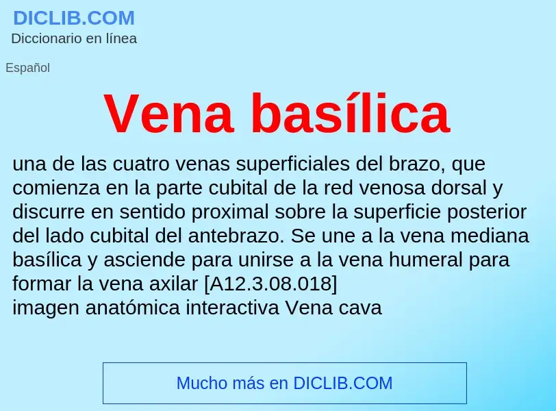 ¿Qué es Vena basílica? - significado y definición