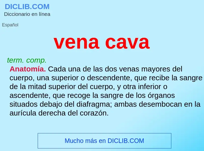 Was ist vena cava - Definition