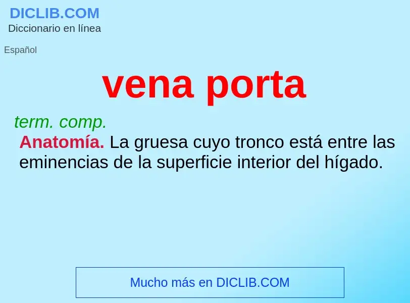 Wat is vena porta - definition