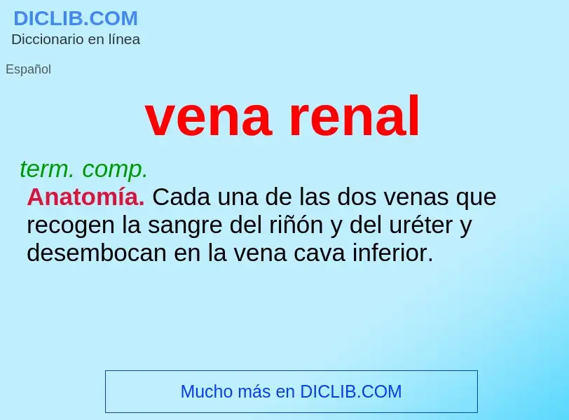 Was ist vena renal - Definition