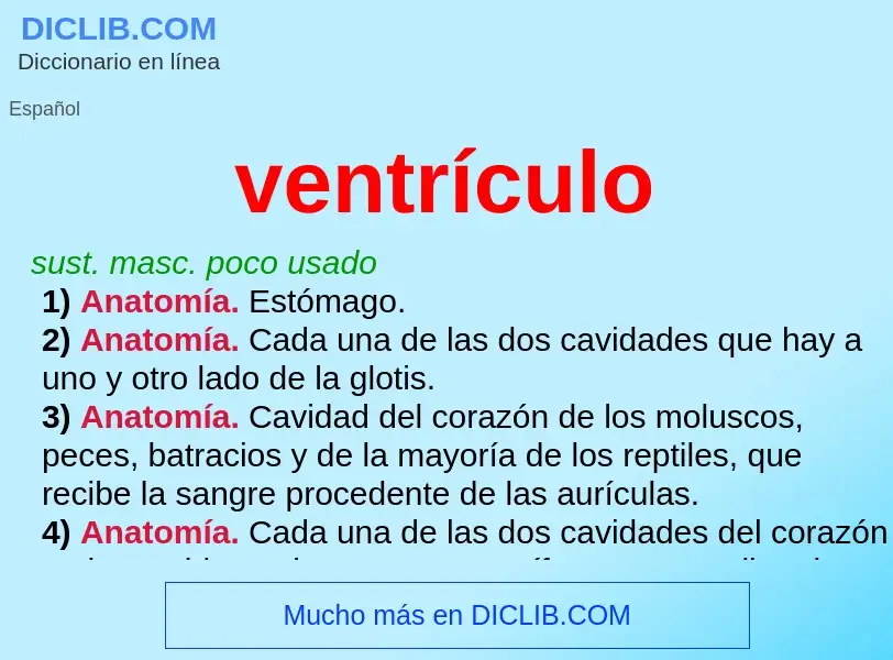 ¿Qué es ventrículo? - significado y definición