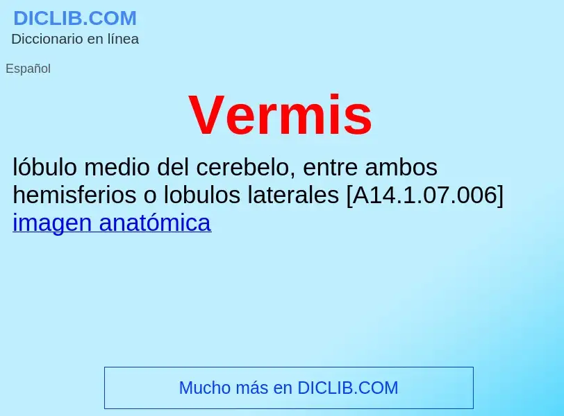 ¿Qué es Vermis? - significado y definición