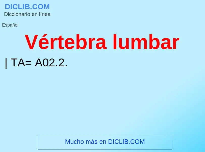 ¿Qué es Vértebra lumbar? - significado y definición