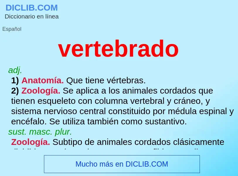 What is vertebrado - meaning and definition