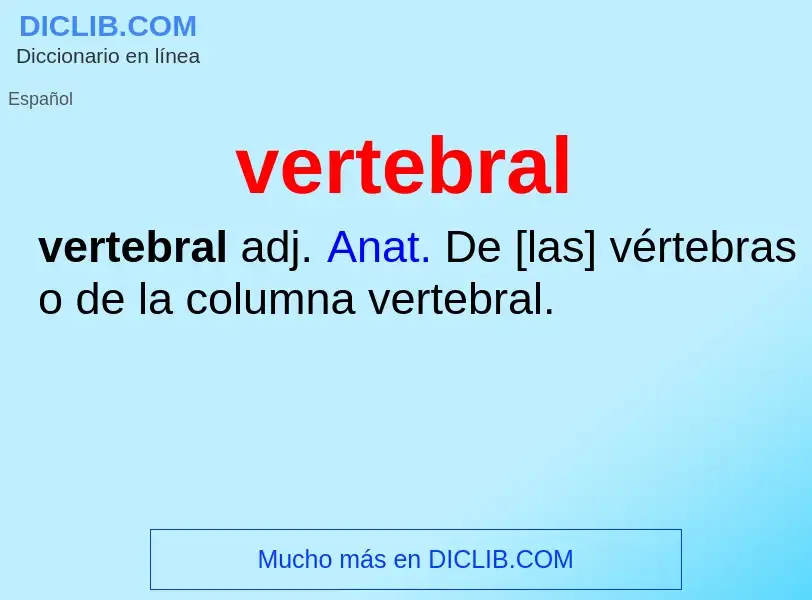 ¿Qué es vertebral? - significado y definición