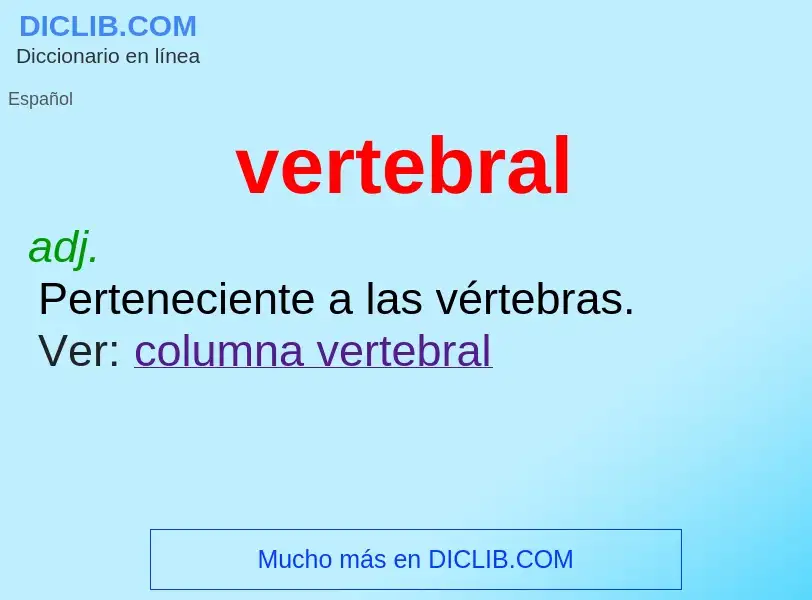 ¿Qué es vertebral? - significado y definición