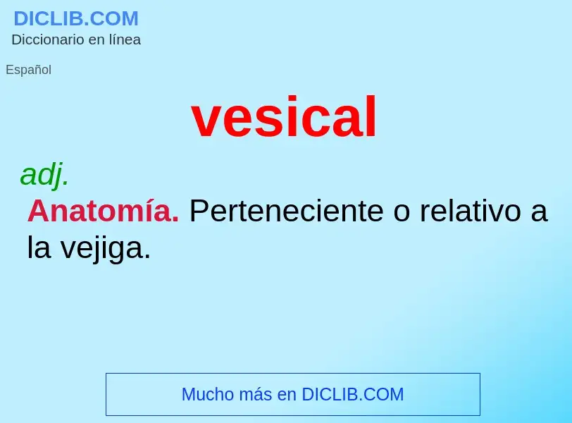 O que é vesical - definição, significado, conceito