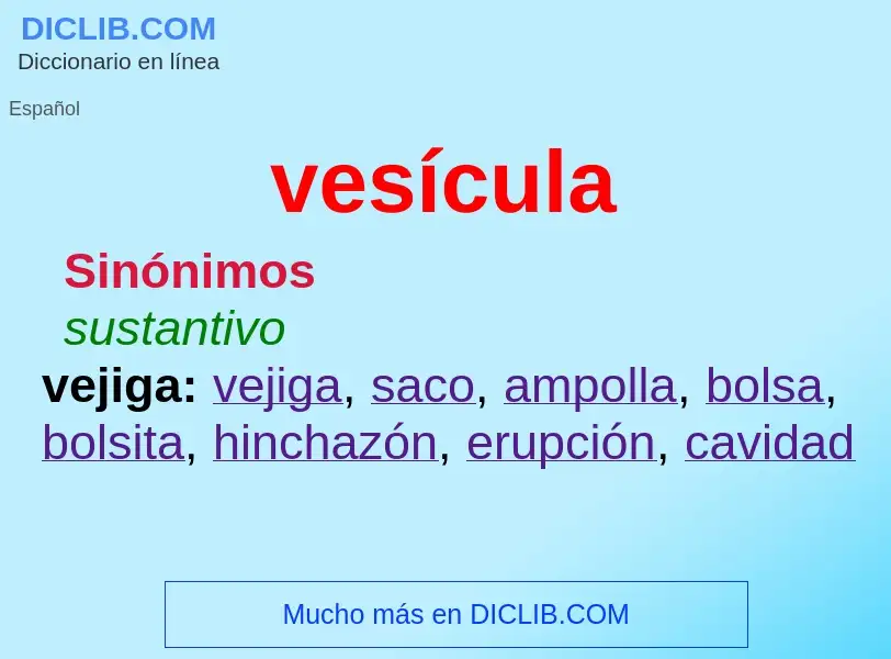 What is vesícula - meaning and definition