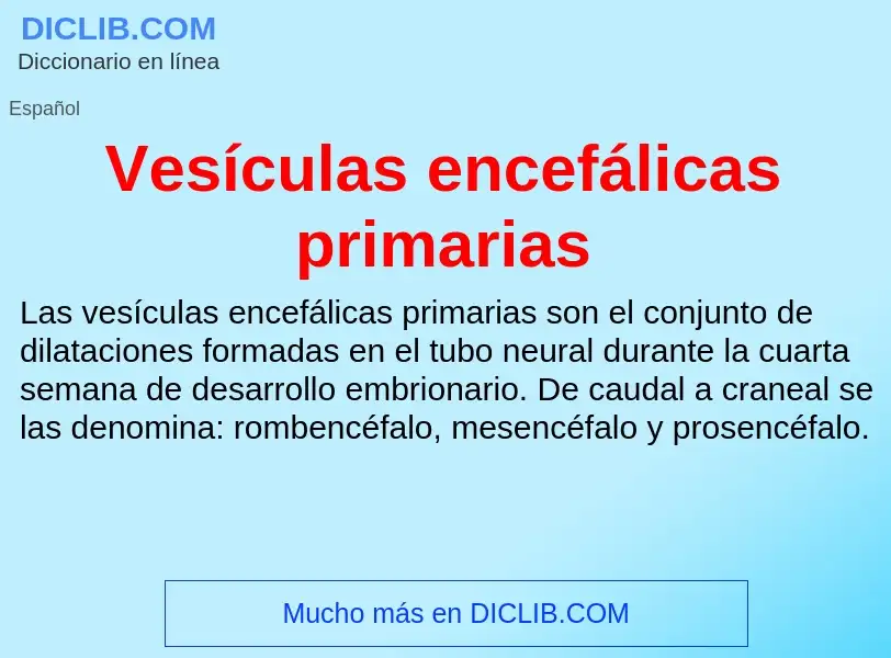 ¿Qué es Vesículas encefálicas primarias? - significado y definición