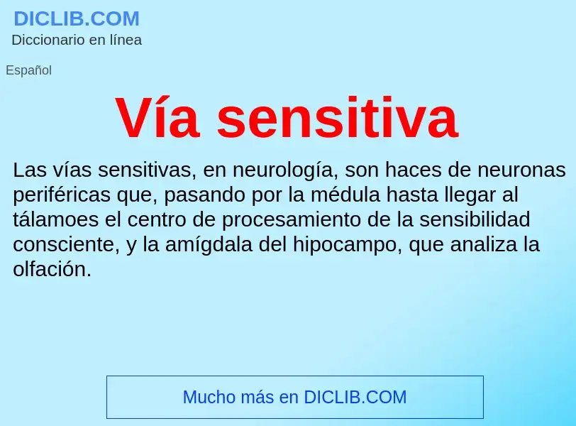 ¿Qué es Vía sensitiva? - significado y definición