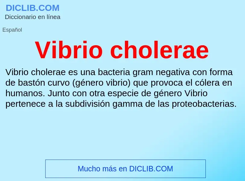 ¿Qué es Vibrio cholerae? - significado y definición