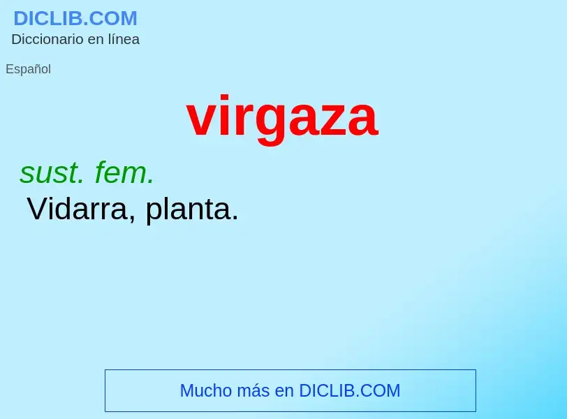 ¿Qué es virgaza? - significado y definición