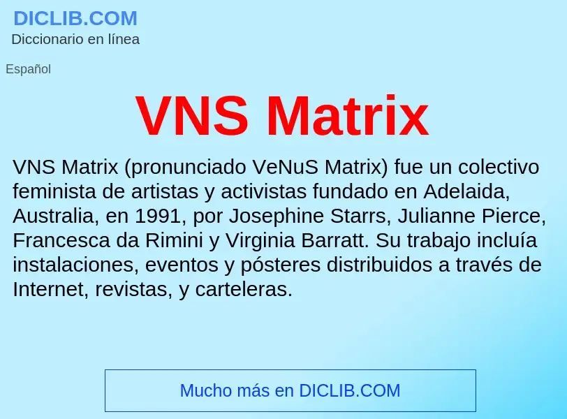 ¿Qué es VNS Matrix? - significado y definición