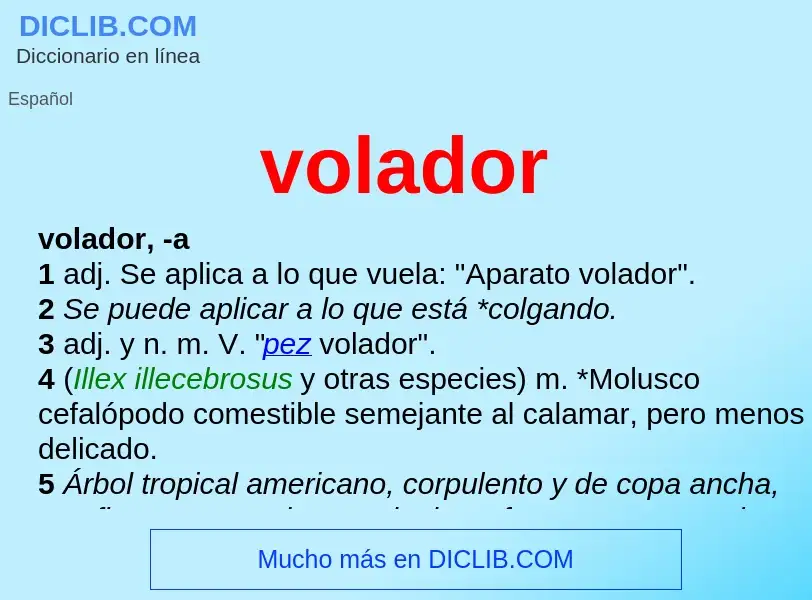 Was ist volador - Definition