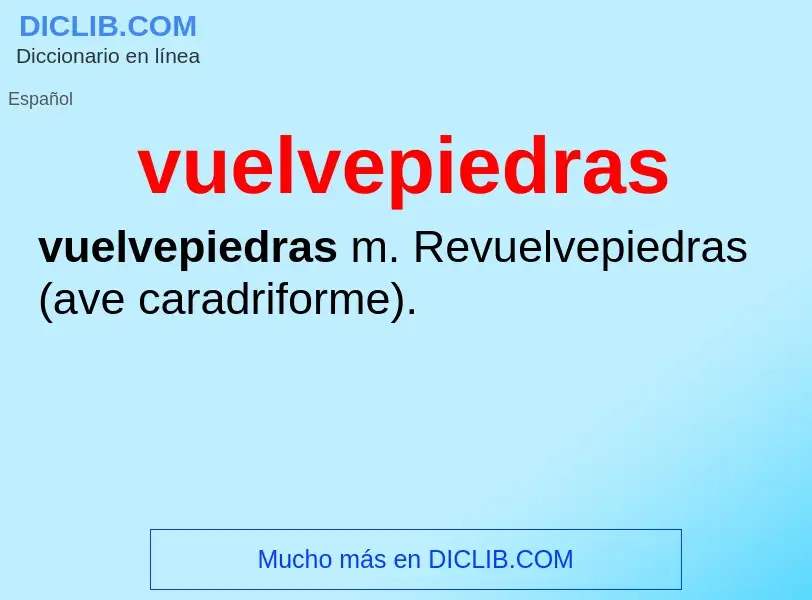 ¿Qué es vuelvepiedras? - significado y definición