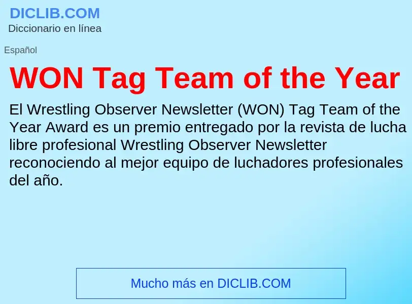 ¿Qué es WON Tag Team of the Year? - significado y definición