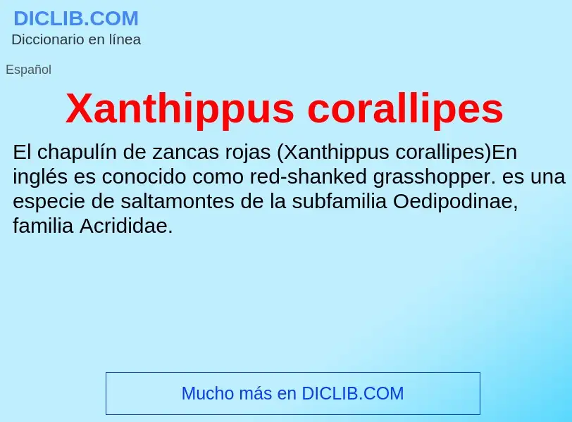 Τι είναι Xanthippus corallipes - ορισμός