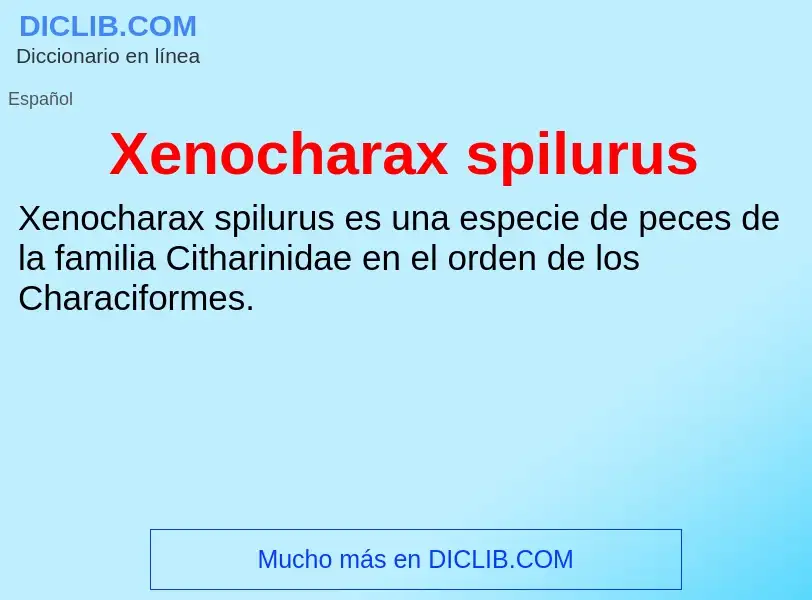 Τι είναι Xenocharax spilurus - ορισμός