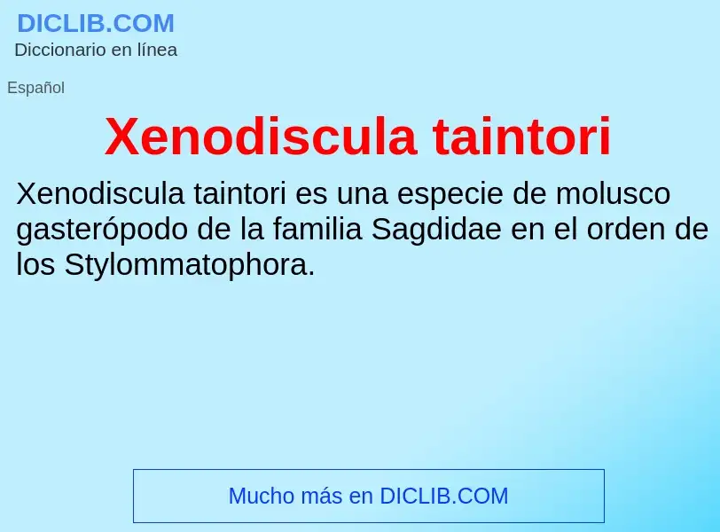 Τι είναι Xenodiscula taintori - ορισμός