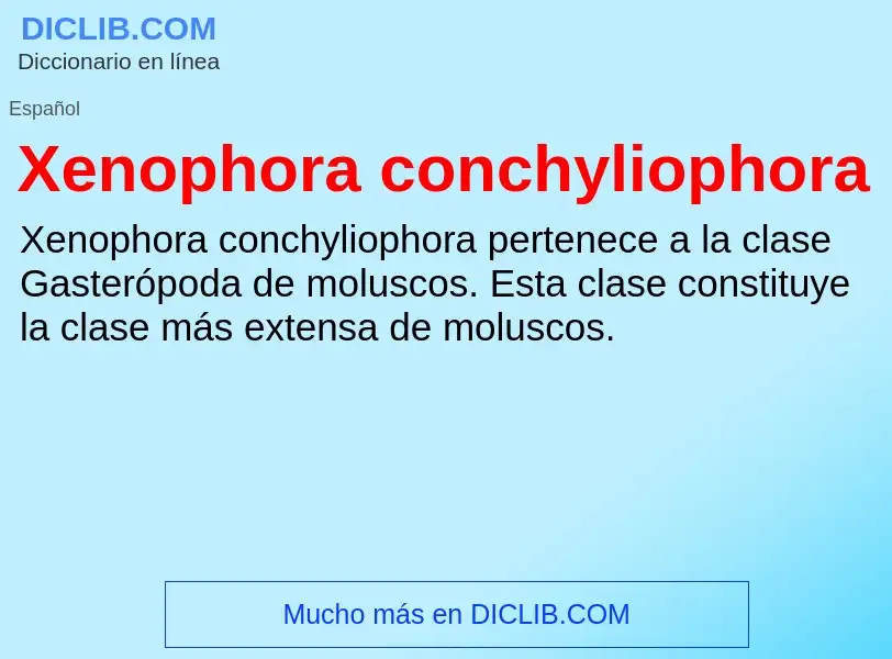 Τι είναι Xenophora conchyliophora - ορισμός