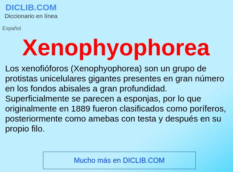 Τι είναι Xenophyophorea - ορισμός