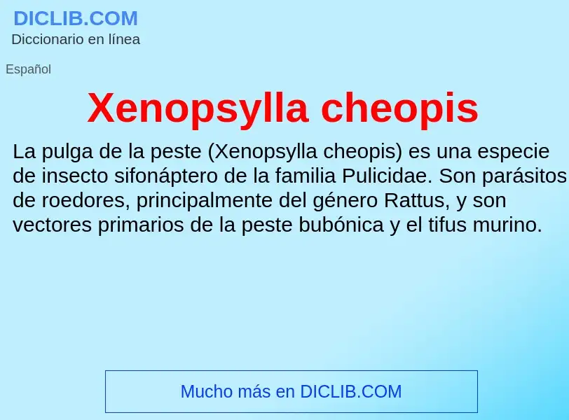 Τι είναι Xenopsylla cheopis - ορισμός