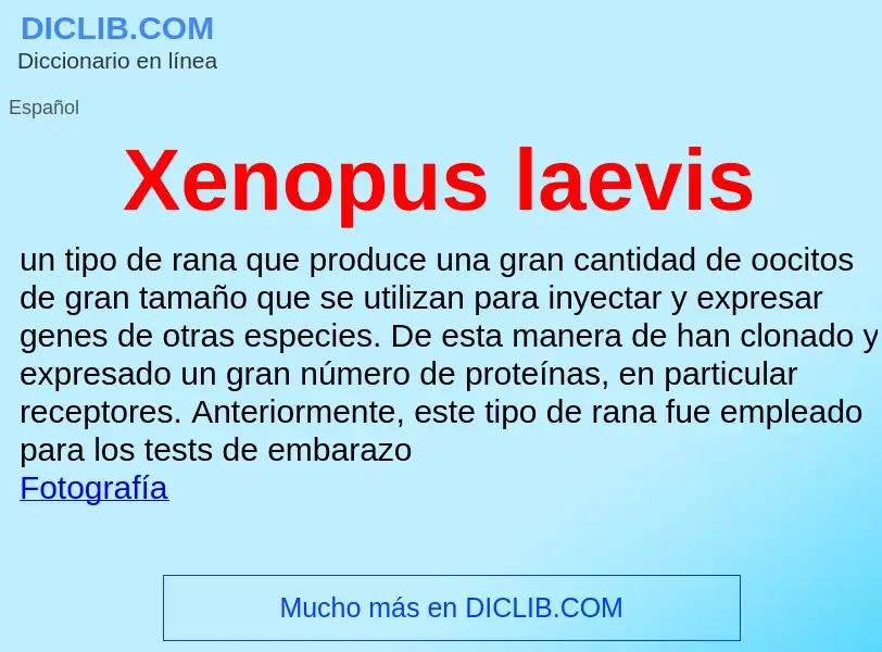 Τι είναι Xenopus laevis - ορισμός