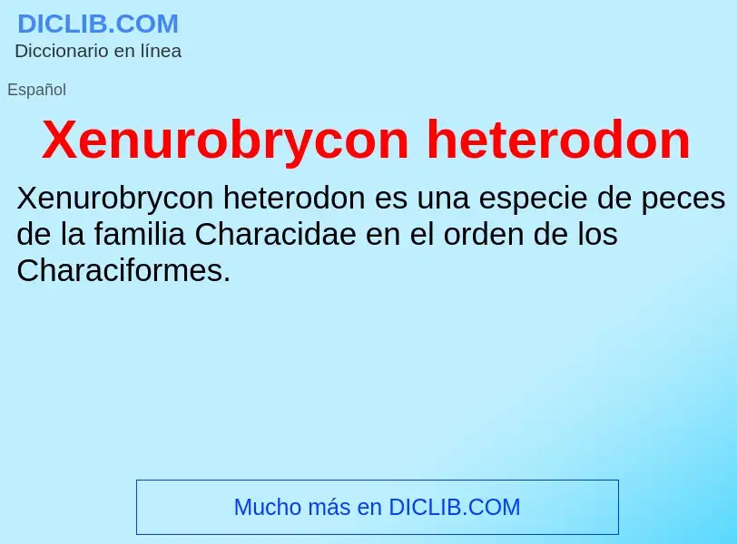 Wat is Xenurobrycon heterodon - definition