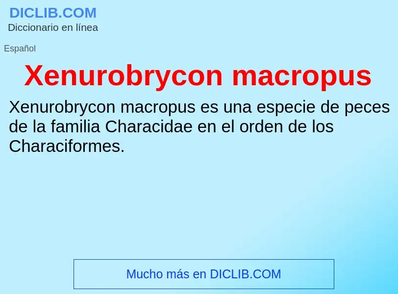 Τι είναι Xenurobrycon macropus - ορισμός