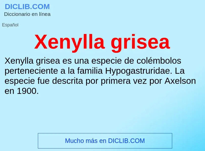 Τι είναι Xenylla grisea - ορισμός